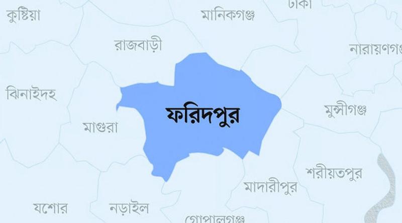 ফরিদপুরে নিয়ন্ত্রণ হারিয়ে বাস খাদে পড়ে আহত ২০