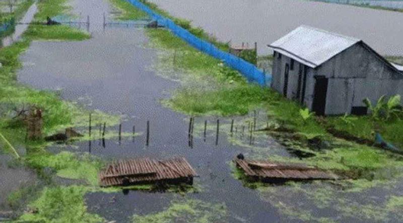 সাতক্ষীরায় প্রতিবন্ধী নারীকে ধর্ষণের অভিযোগ, ঘের মালিক গ্রেপ্তার