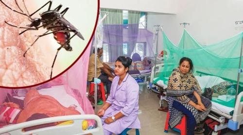 ডেঙ্গুতে হাসপাতালে ভর্তি ৫৩