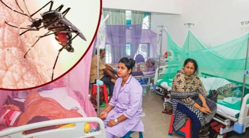 ডেঙ্গুতে হাসপাতালে ভর্তি ৫৩