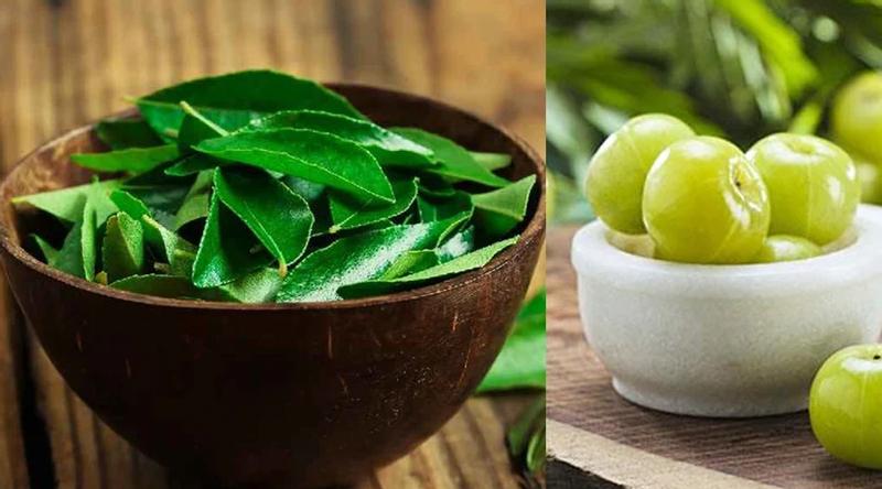 চুলের বিভিন্ন সমস্যা কমাবে আমলকী, কারিপাতা!