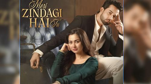 ‘মেরি জিন্দেগি হে তু’ গানে মেতেছে নেটিজেনরা