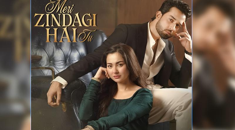 ‘মেরি জিন্দেগি হে তু’ গানে মেতেছে নেটিজেনরা