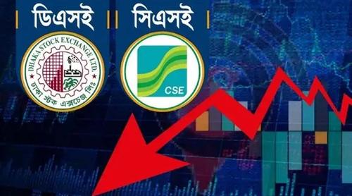 বিমার শেয়ারের হঠাৎ পতন, বিনিয়োগ বাজারে প্রভাব