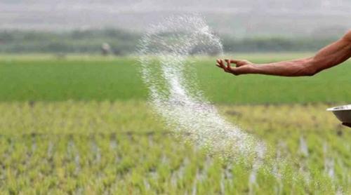 রাশিয়া ও আরব আমিরাত থেকে আসছে ৩৫৩ কোটি টাকার সার