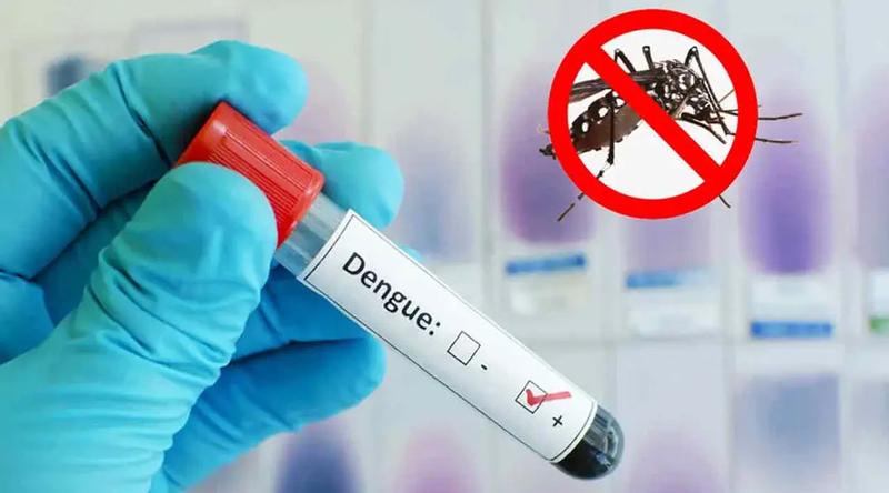 ডেঙ্গুতে ৩ জনের মৃত্যু, হাসপাতালে ভর্তি ৩৭২ জন