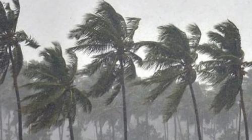 দুপুরের মধ্যে ৭ জেলায় বজ্রসহ বৃষ্টির আশঙ্কা, নদীবন্দরে সতর্কতা