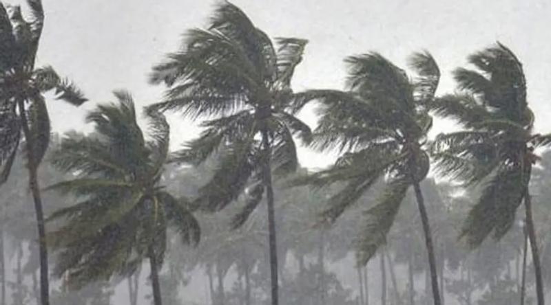 দুপুরের মধ্যে ৭ জেলায় বজ্রসহ বৃষ্টির আশঙ্কা, নদীবন্দরে সতর্কতা
