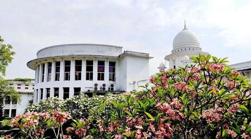 ঘোড়ার মাংসের বাণিজ্য বন্ধে হাইকোর্টের রুল