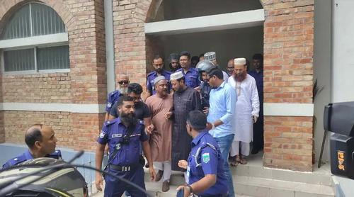 মানহানির মামলায় স্থায়ী জামিন পেলেন এমপি আমির হামজা