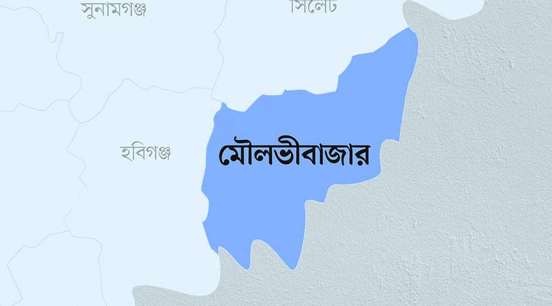 মোটরসাইকেল চুরি করে পালানোর সময় দুর্ঘটনায় নিহত
