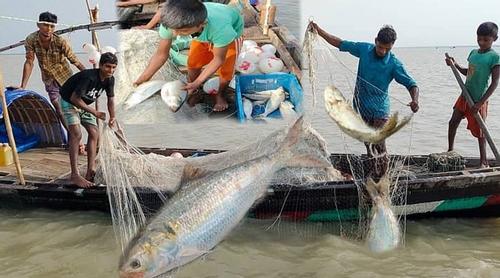 ২২ দিনের মাছ ধরার নিষেধাজ্ঞা শুরু আজ, দুশ্চিন্তায় জেলেরা