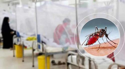ডেঙ্গুতে আরও ৮ জনের মৃত্যু, হাসপাতালে ভর্তি ১৮৬০