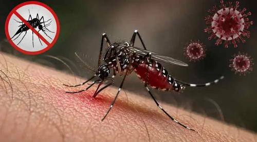 ডেঙ্গুতে মৃত্যু ৩০০ ছাড়াল, আক্রান্ত লাখ ছুঁইছুঁই