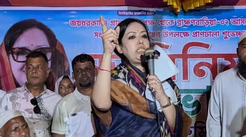 দেশে এখন গরু-মহিষকে ঘাস খাওয়াতেও চাঁদা দিতে হয়: রুমিন ফারহানা