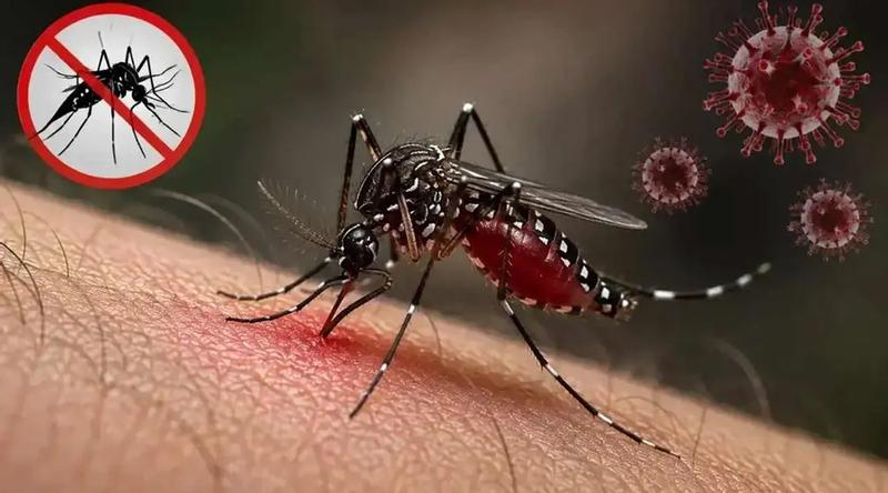 ডেঙ্গুতে আরও ৫ জনের মৃত্যু, হাসপাতালে ভর্তি ১৩৬৬