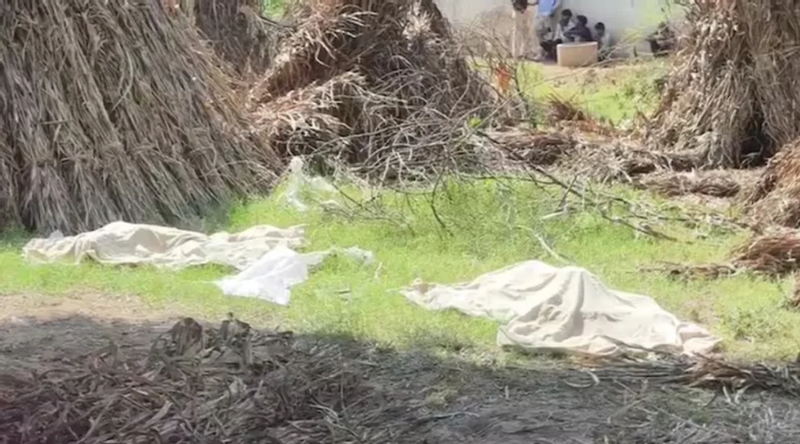 প্রেমিকের আপত্তিতে যমজ দুই ছেলেকে হত্যার অভিযোগ, মা গ্রেপ্তার
