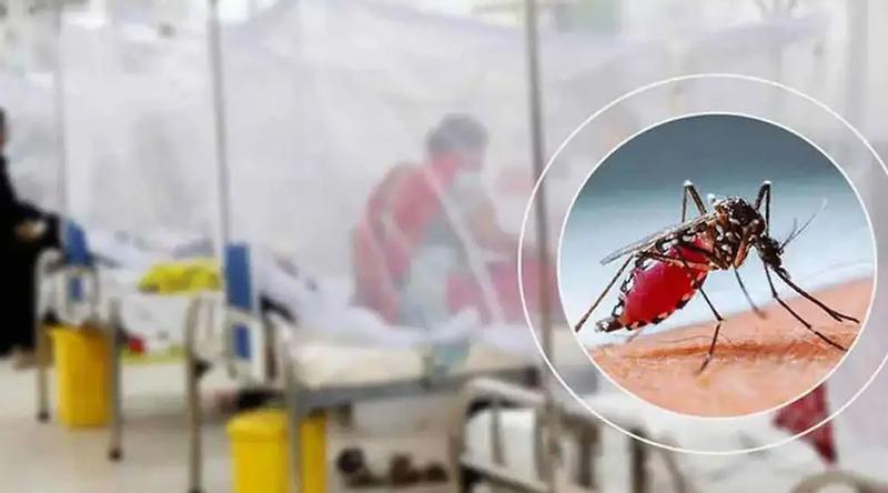 ডেঙ্গুতে একদিনে ৬ জনের মৃত্যু, হাসপাতালে ভর্তি ১৯৪৮
